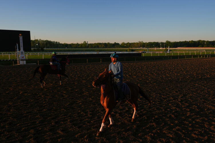 The 151st Preakness has everything except the Kentucky Derby winner